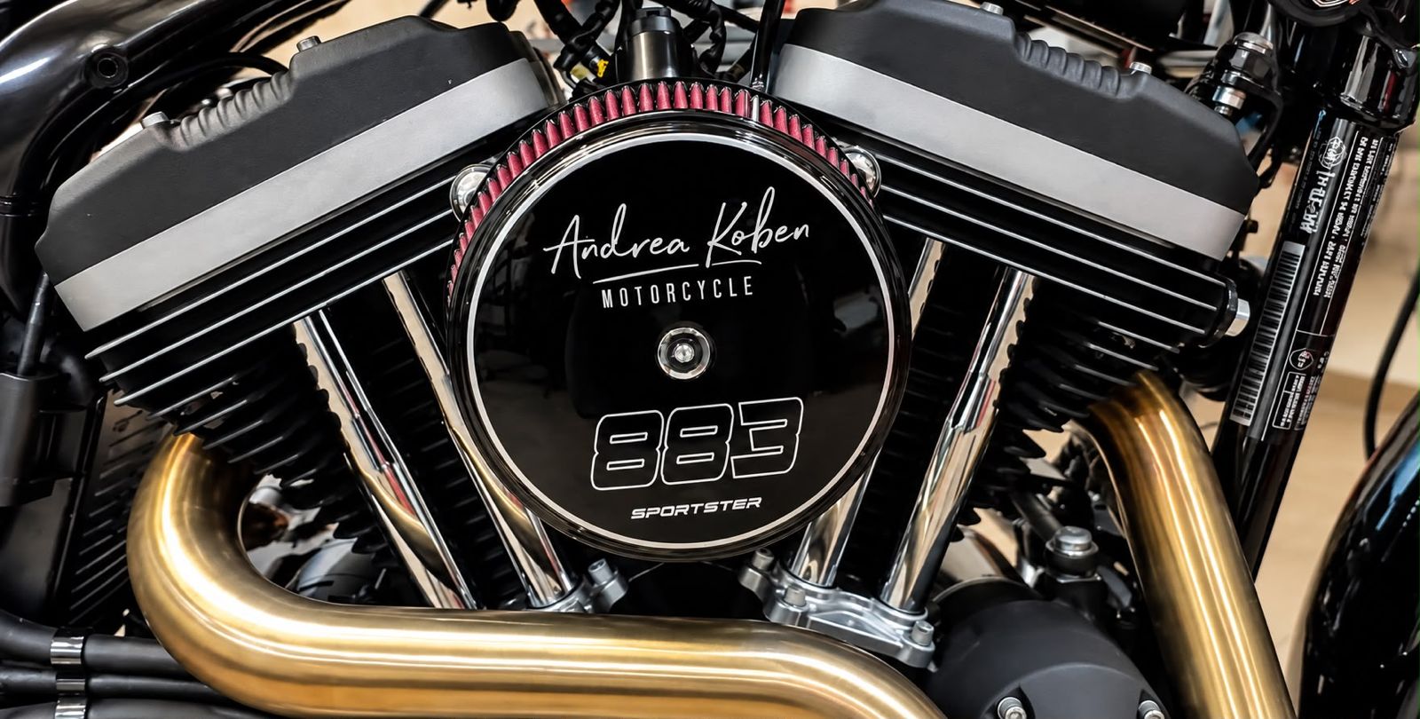 Gros plan du moteur, filtre à air et échappement de la 883R